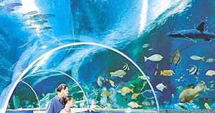 Blue Reef Aquarium