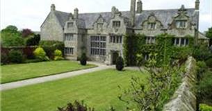 Falconry Display At Trerice 