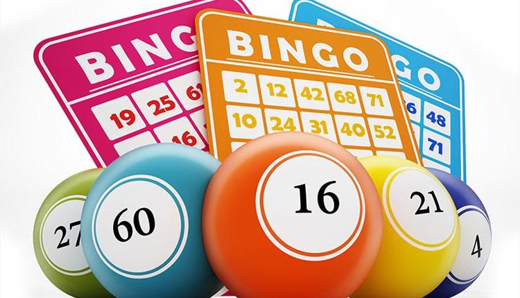 Newquay Lions Prize Bingo at The Griffin Inn Newquay Lions Prize Bingo at The Griffin Inn